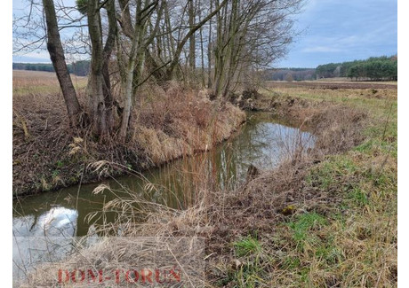 Działka na sprzedaż - Pruska Łąka, Kowalewo Pomorskie, Golubsko-Dobrzyński, 12 400 m², 300 000 PLN, NET-2724