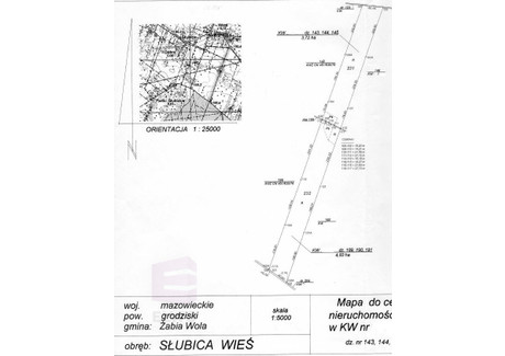 Działka na sprzedaż - Słubica-Wieś, Żabia Wola, Grodziski, 48 085 m², 1 442 550 PLN, NET-ELWO673357