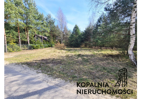 Działka na sprzedaż - Letniskowa Koziegłowy, Myszkowski, 5959 m², 238 360 PLN, NET-76/13542/OGS