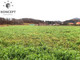 Rolny na sprzedaż - Wojanów, Mysłakowice, Karkonoski, 12 294 m², 490 000 PLN, NET-8251
