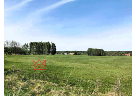 Działka na sprzedaż - Studzianki, Wasilków, Białostocki, 4391 m², 483 000 PLN, NET-697/15636/OGS