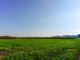 Rolny na sprzedaż - Rożdżałów, Chełm, Chełmski, 10 000 m², 99 000 PLN, NET-HIT-GS-283