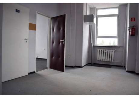 Biuro do wynajęcia - Zielona Góra, 75 m², 3000 PLN, NET-60110529