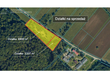Działka na sprzedaż - Laska, Darżewo, Nowa Wieś Lęborska, Lęborski, 6900 m², 276 000 PLN, NET-DYK-GS-1275-3