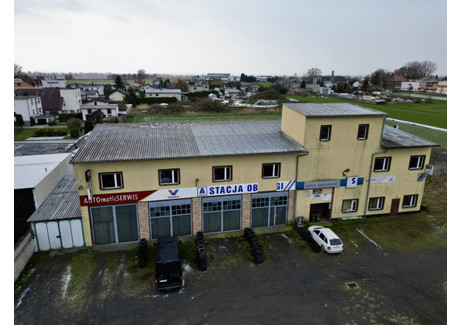 Fabryka, zakład na sprzedaż - Mokra Grodzisk Wielkopolski, Grodziski, 750 m², 1 200 000 PLN, NET-IR686398