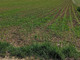 Rolny na sprzedaż - Morawica, Liszki, Krakowski, 3800 m², 135 000 PLN, NET-17/13805/OGS