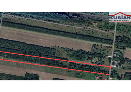 Działka na sprzedaż - Górki, Puszcza Mariańska, Żyrardowski, 21 600 m², 649 000 PLN, NET-4002/1989/OGS