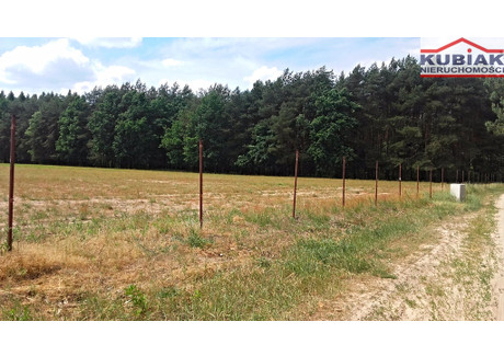 Działka na sprzedaż - Komorów, Kampinos, Warszawski Zachodni, 20 000 m², 2 980 000 PLN, NET-3959/1989/OGS