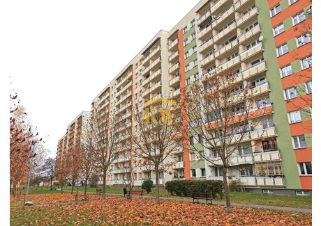 Mieszkanie na sprzedaż - Osiedlowa Ustronie, Radom, 28,8 m², 217 000 PLN, NET-10175/4095/OMS