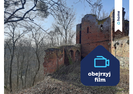 Działka na sprzedaż - Pokrzywno, Gruta, Grudziądzki, 84 200 m², 999 000 Euro (4 315 680 PLN), NET-245/14016/OGS