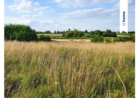 Działka na sprzedaż - Parkowa Wińsko, Wołowski, 1405 m², 126 450 PLN, NET-389/14016/OGS