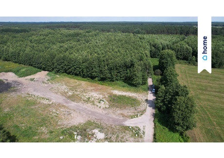 Działka na sprzedaż - Kopanino, Lubicz, Toruński, 2996 m², 259 000 PLN, NET-363/14016/OGS