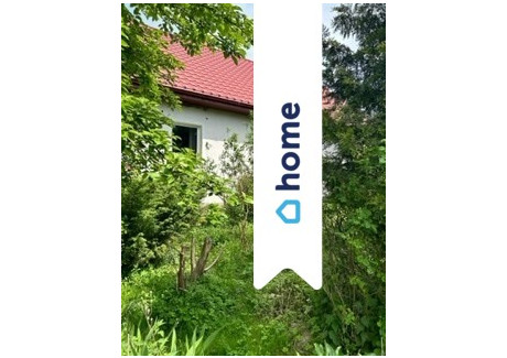 Dom na sprzedaż - Dolice, Stargardzki, 143 m², 650 000 PLN, NET-585/14016/ODS
