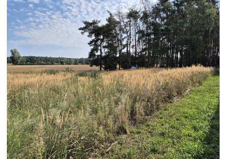 Działka na sprzedaż - Limonkowa Radzyny, Kaźmierz, Szamotulski, 812 m², 215 000 PLN, NET-48/15909/OGS