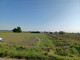 Rolny na sprzedaż - Krokocice, Szadek (Gm.), Zduńskowolski (Pow.), 29 800 m², 117 450 PLN, NET-474