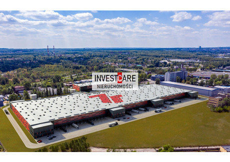 Magazyn do wynajęcia - Katowice, Katowice M., 1000 m², 26 000 PLN, NET-IVN-HW-289-3