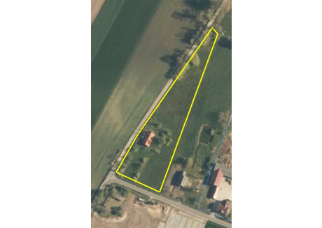 Dom na sprzedaż - Goszczanów, Goszczanów (gm.), Sieradzki (pow.), 196,7 m², 320 000 PLN, NET-20