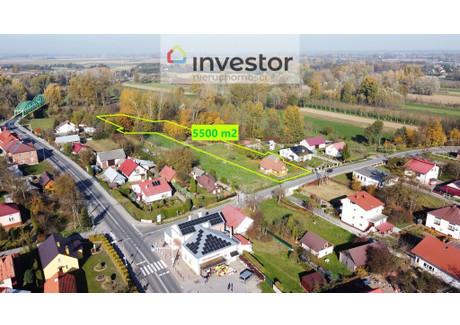 Dom na sprzedaż - Tryńcza, Przeworski, 110 m², 250 000 PLN, NET-5753/9376/ODS