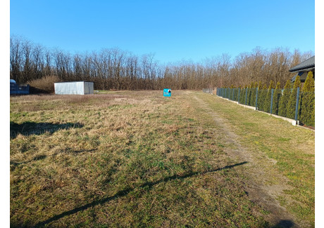 Działka na sprzedaż - Gajówka-Kolonia, Dalików, Poddębicki, 2552 m², 157 000 PLN, NET-687/13397/OGS