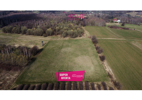 Działka na sprzedaż - Straszydle, Lubenia, Rzeszowski, 7600 m², 209 000 PLN, NET-1454/6619/OGS