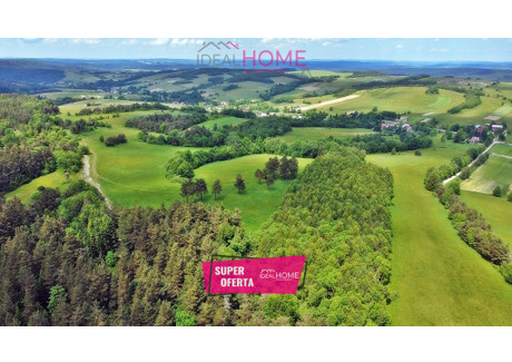 Działka na sprzedaż - Kuźmina, Bircza, Przemyski, 76 200 m², 439 000 PLN, NET-1429/6619/OGS