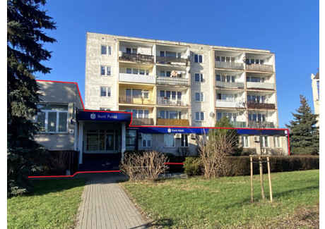 Biuro na sprzedaż - ul. Młodzieżowa Płońsk, Płoński (Pow.), 872,3 m², 2 180 000 PLN, NET-926