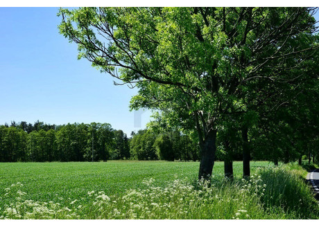 Działka na sprzedaż - Jeziory Wielkie, Zaniemyśl (Gm.), Średzki (Pow.), 1427 m², 499 450 PLN, NET-476/11661/OGS