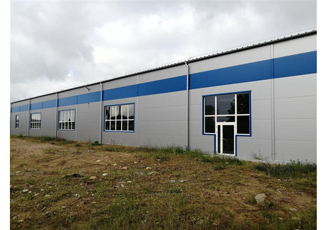 Fabryka, zakład na sprzedaż - Oliwska Chwaszczyno, Żukowo, Kartuski, 2520 m², 11 950 000 PLN, NET-WJ03304