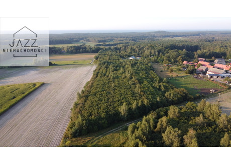 Działka na sprzedaż - Ulinia, Wicko, Lęborski, 25 483 m², 1 250 000 PLN, NET-44/7963/OGS