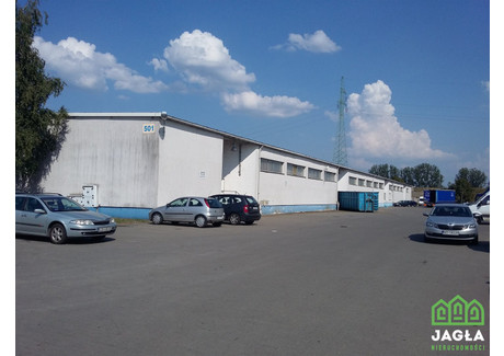 Magazyn do wynajęcia - Bydgoszcz Wschód, Bydgoszcz, Bydgoszcz M., 1600 m², 25 600 PLN, NET-JAG-HW-13429