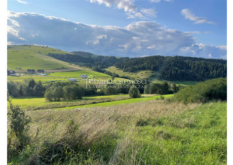 Działka na sprzedaż - Łapsze Wyżne, Łapsze Niżne, Nowotarski, 13 600 m², 199 000 PLN, NET-NJA-GS-547-4