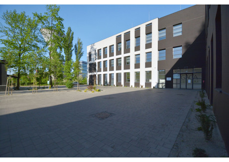 Biuro do wynajęcia - Baildona Johna Katowice, 700 m², 27 300 PLN, NET-18247349