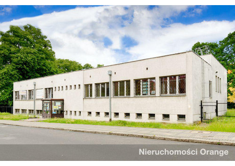 Biuro na sprzedaż - ul. Kilińskiego Sulęcin, 956 m², 700 000 PLN, NET-T02219