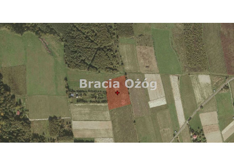 Działka na sprzedaż - Straszydle, Lubenia, Rzeszowski, 7600 m², 339 000 PLN, NET-BRO-GS-1953