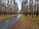 Leśne na sprzedaż - Potępa, Krupski Młyn, Tarnogórski, 67 800 m², 1 350 000 PLN, NET-LFT-GS-1010