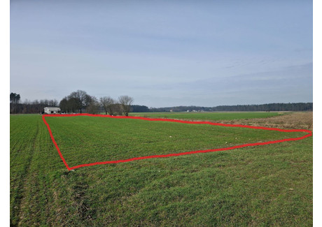 Działka na sprzedaż - Słocin Grodzisk Wielkopolski, Grodziski, 320 m², 61 440 PLN, NET-8630775