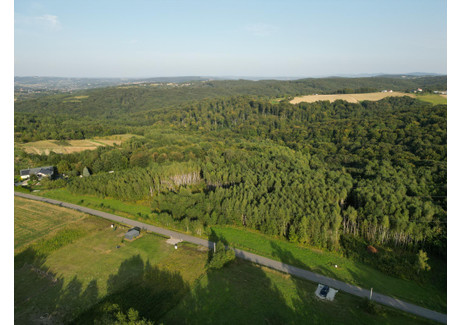 Działka na sprzedaż - Dąbrówka Szczepanowska, Pleśna (gm.), Tarnowski (pow.), 6500 m², 199 000 PLN, NET-1744