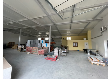 Magazyn, hala do wynajęcia - Stare Babice, Stare Babice (gm.), Warszawski Zachodni (pow.), 300 m², 12 100 PLN, NET-6661