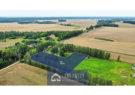 Działka na sprzedaż - Radziejewo, Zblewo, Starogardzki, 3254 m², 249 000 PLN, NET-515/8403/OGS