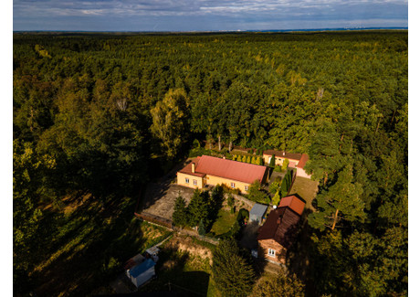 Dom na sprzedaż - Płocka Gąbin, Gąbin (gm.), Płocki (pow.), 211 m², 699 000 PLN, NET-18