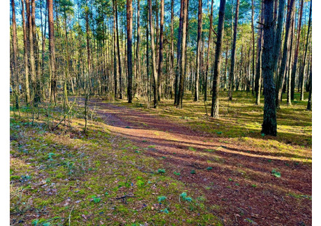 Działka na sprzedaż - Ostrów, Aleksandrów, Piotrkowski, 4600 m², 50 000 PLN, NET-ARL-GS-1437