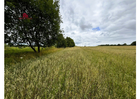 Działka na sprzedaż - Gdańska Mierzeszyn, Trąbki Wielkie, Gdański, 16 681 m², 633 878 PLN, NET-LDK836817