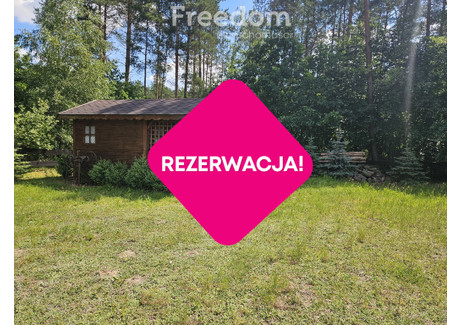 Dom na sprzedaż - Kąciki, Kurzętnik, Nowomiejski, 24 m², 337 000 PLN, NET-12206/3685/ODS