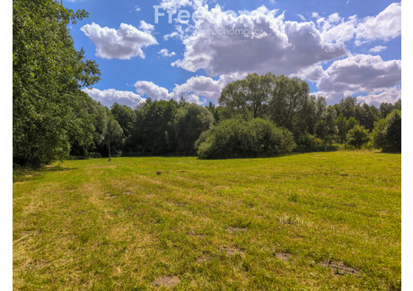 Działka na sprzedaż - Poziomkowa Bieganów, Jaktorów, Grodziski, 7000 m², 560 000 PLN, NET-8213/3685/OGS