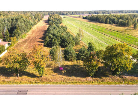 Działka na sprzedaż - Kolonia Paplin, Korytnica, Węgrowski, 13 300 m², 375 000 PLN, NET-8613/3685/OGS