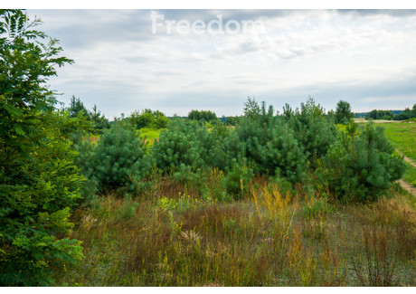 Działka na sprzedaż - Rasztów, Klembów, Wołomiński, 4686 m², 350 000 PLN, NET-4908/3685/OGS