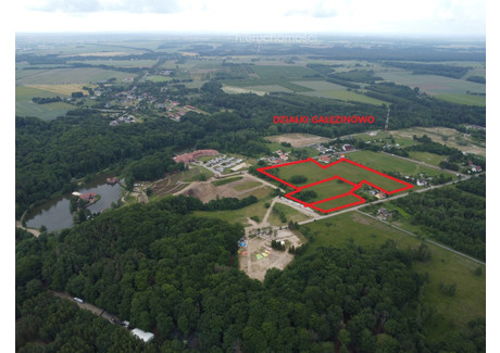 Działka na sprzedaż - Gałęzinowo, Słupsk, Słupski, 5100 m², 612 000 PLN, NET-8707/3685/OGS