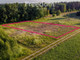 Rolny na sprzedaż - Rutwica, Wałcz, Wałecki, 1650 m², 90 000 PLN, NET-6514/3685/OGS