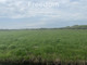 Rolny na sprzedaż - Osiek Nad Notecią, Wyrzysk, Pilski, 4800 m², 39 000 PLN, NET-7490/3685/OGS