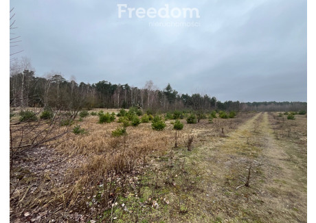 Działka na sprzedaż - Czarne Błoto, Zławieś Wielka, Toruński, 916 m², 140 000 PLN, NET-7393/3685/OGS